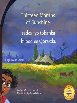 cover image of Thirteen Months of Sunshine